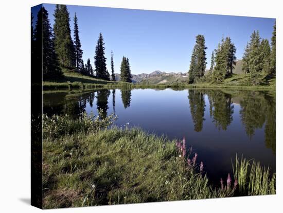 Paradise Divide, Grand Mesa-Uncompahgre-Gunnison National Forest, Colorado-James Hager-Premier Image Canvas