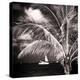 Paradise Palm Tree with a Sailboat on the Ocean - Florida-Philippe Hugonnard-Premier Image Canvas