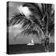 Paradise Palm Tree with a Sailboat on the Ocean - Florida-Philippe Hugonnard-Premier Image Canvas