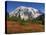Paradise Valley and Mt. Rainier, Mt. Rainier National Park, Washington, Usa-Jamie & Judy Wild-Premier Image Canvas