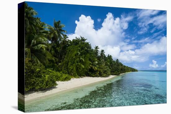 Paradise White Sand Beach in Turquoise Water in the Ant Atoll, Pohnpei, Micronesia-Michael Runkel-Premier Image Canvas