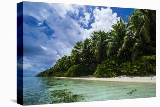Paradise White Sand Beach in Turquoise Water in the Ant Atoll, Pohnpei, Micronesia-Michael Runkel-Premier Image Canvas