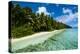 Paradise White Sand Beach in Turquoise Water on Ant Atoll, Pohnpei, Micronesia, Pacific-Michael Runkel-Premier Image Canvas