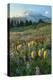 Paradise Wildflower Meadows II-Alan Majchrowicz-Premier Image Canvas