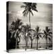 Paradisiacal Beach overlooking Downtown Miami - Florida-Philippe Hugonnard-Premier Image Canvas