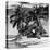 Paradisiacal Beach with a Life Guard Station - Miami - Florida-Philippe Hugonnard-Premier Image Canvas