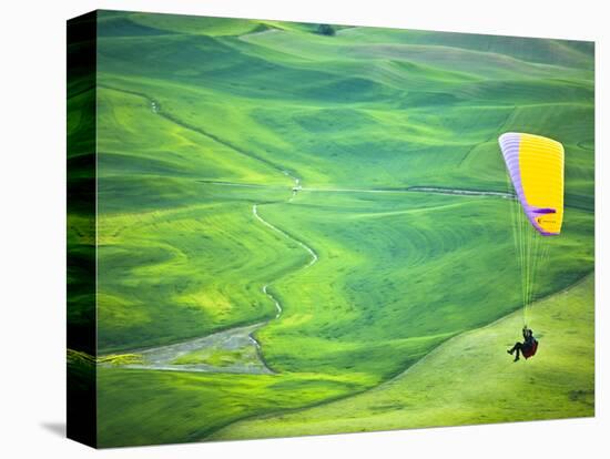 Paragliding Among the Picturesque, Wheat Covered Hills of the Palouse in Eastern Washington at Dusk-Ben Herndon-Premier Image Canvas