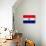 Paraguay Flag Design with Wood Patterning - Flags of the World Series-Philippe Hugonnard-Stretched Canvas displayed on a wall