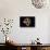 Paranthropus Boisei Skull-Javier Trueba-Premier Image Canvas displayed on a wall