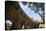 Parc Guell, UNESCO World Heritage Site, Barcelona, Catalonia, Spain, Europe-Charlie Harding-Premier Image Canvas
