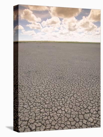 Parched Earth, Etosha National Park, Namibia-Walter Bibikow-Premier Image Canvas