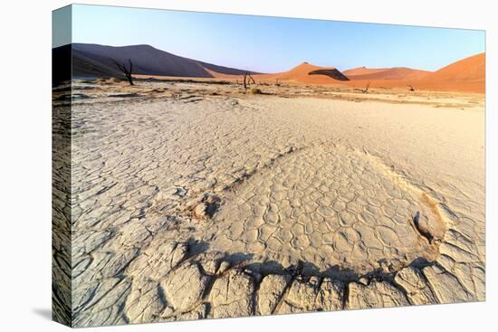 Parched Ground and Dead Acacia Surrounded by Sandy Dunes, Sossusvlei, Namib Naukluft National Park-Roberto Moiola-Premier Image Canvas