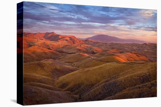 Parched Palette-Mark Geistweite-Premier Image Canvas