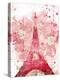 Paris Bloom-OnRei-Stretched Canvas