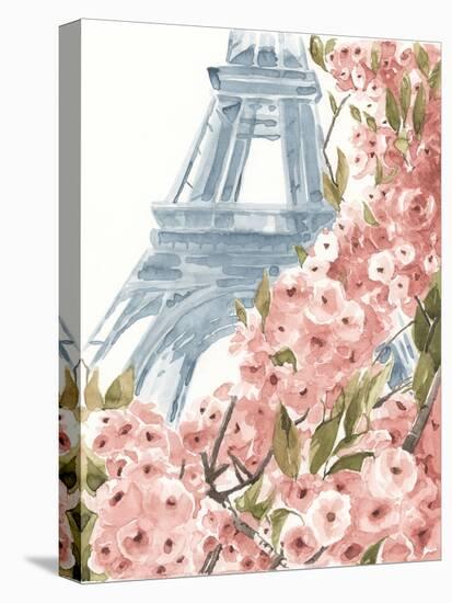 Paris Cherry Blossoms II-Annie Warren-Stretched Canvas