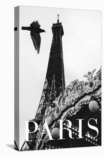 Paris Dove-Rikard Martin-Premier Image Canvas