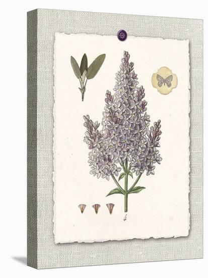 Paris Flea Market Lilacs-Devon Ross-Stretched Canvas