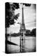 Paris sur Seine Collection - Traffic Light Panel-Philippe Hugonnard-Premier Image Canvas