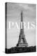 Paris Text 2-Pictufy Studio III-Premier Image Canvas