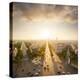 Paris View from Arc De Trimphe-beboy-Premier Image Canvas