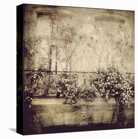 Paris Window Garden-Dawne Polis-Stretched Canvas