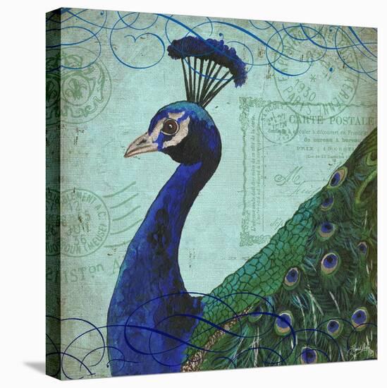 Parisian Peacock II-Elizabeth Medley-Stretched Canvas