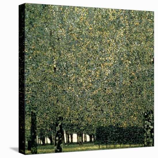 Park, 1910-Gustav Klimt-Premier Image Canvas