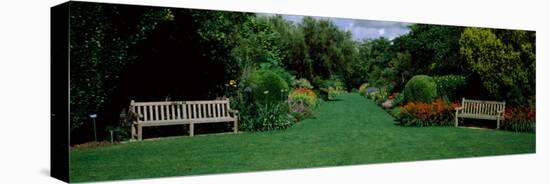 Park Bench in a Garden, Hillier Gardens, New Forest, Hampshire, England-null-Premier Image Canvas