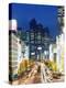 Park Hyatt Hotel and Night Lights in Shinjuku, Tokyo, Japan, Asia-Christian Kober-Premier Image Canvas
