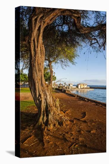 Park on the Coast of Lahaina, Maui, Hawaii, United States of America, Pacific-Michael-Premier Image Canvas