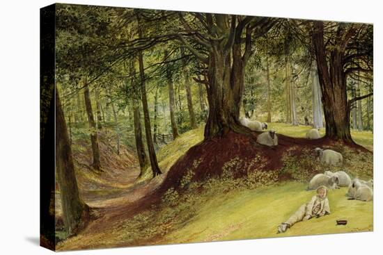 Parkhurst Woods, Abinger, Surrey-Richard Redgrave-Premier Image Canvas