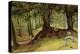 Parkhurst Woods, Abinger, Surrey-Richard Redgrave-Premier Image Canvas