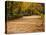 Parque Del Buen Retiro, Madrid, Spain-Walter Bibikow-Premier Image Canvas