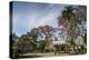 Parque Libertad, Matanzas, Cuba, West Indies, Caribbean, Central America-Yadid Levy-Premier Image Canvas
