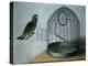 Parrot Outside His Cage-Cornelis Biltius-Premier Image Canvas