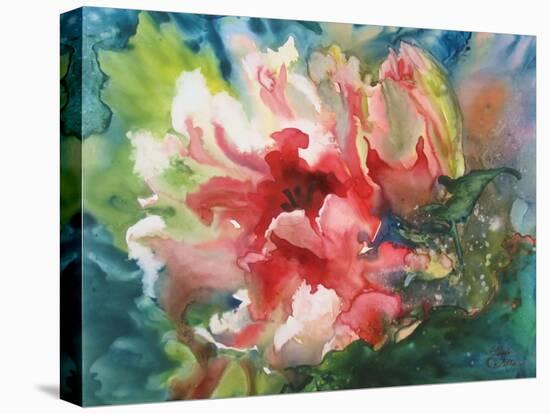 Parrot Tulips I-Paula Giltner-Stretched Canvas