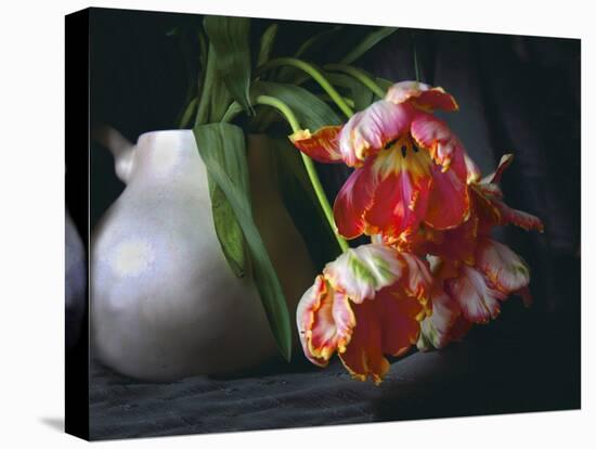 Parrot Tulips in White Pitcher-Anna Miller-Premier Image Canvas