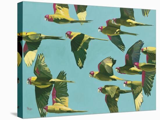 Parrots in Flight - Retro-Pete Hawkins-Stretched Canvas