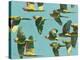 Parrots in Flight - Retro-Pete Hawkins-Stretched Canvas