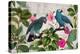 Parrots Nostalgic Journey Kopie-Andrea Haase-Premier Image Canvas