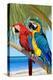 Parrots-Lantern Press-Stretched Canvas