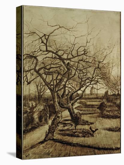 Parsonage Garden in Nuenen, March 1884-Vincent van Gogh-Premier Image Canvas