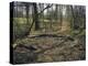 Part of a forest kindergarten in the wood with circle on the floor-Axel Killian-Premier Image Canvas