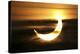 Partial Solar Eclipse, January 2011-Detlev Van Ravenswaay-Premier Image Canvas