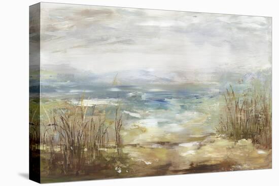 Parting Shores-Aimee Wilson-Stretched Canvas