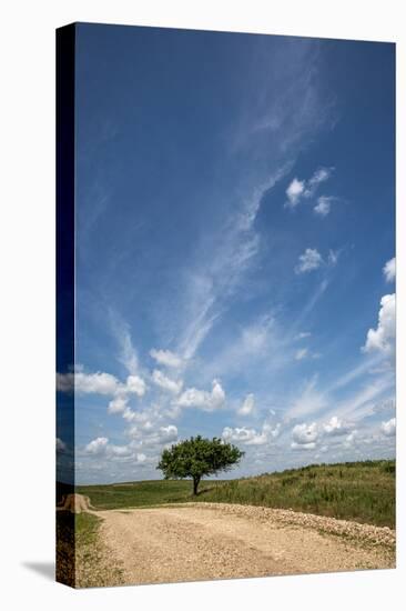 Partly cloudy day in the Flint Hills of Kansas-Michael Scheufler-Premier Image Canvas