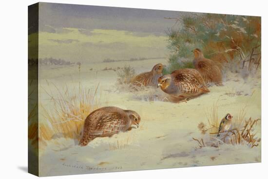 Partridge and a Goldfinch in a Winter landscape watercolor-Archibald Thorburn-Premier Image Canvas