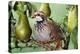 Partridge in a Pear Tree-null-Premier Image Canvas