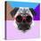 Party Pug in Pink Glasses-Lisa Kroll-Stretched Canvas