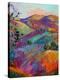 Paso III-Erin Hanson-Stretched Canvas